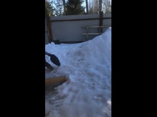 Вика штурмует горку!!! #вичканашесолнышко🔅