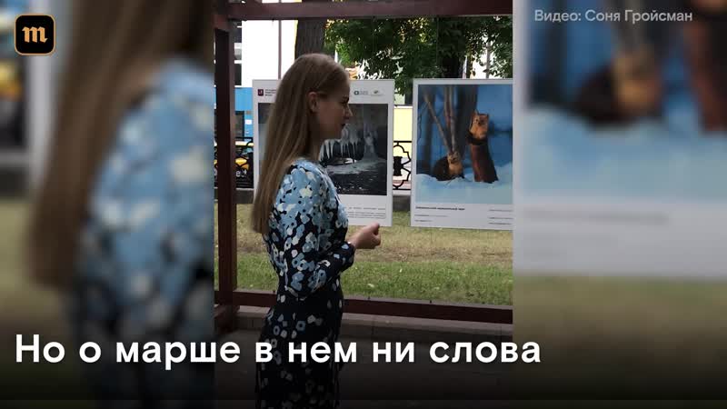 Нтв сняло репортаж посреди марша в москве про караван верблюдов