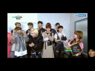 Chan's reaction | stray porn | felix lee | bang chan | aussie line