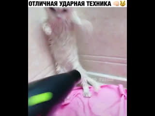 Отличная ударная техника