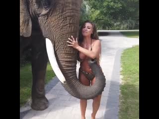 Приют усталого чебурашки