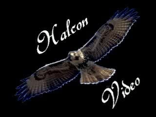 Molotov rastaman dita