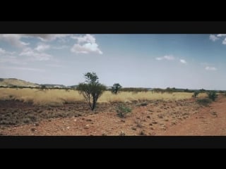 Liebherr mobile crane service we won't let you down !