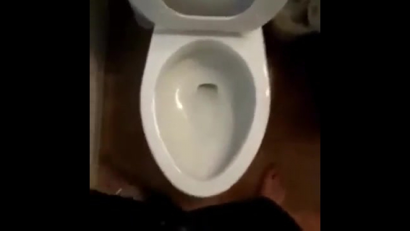 Логово годноты