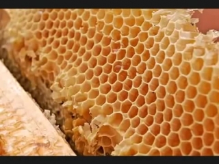 Топ 10 самых полезных продуктов питания для здоровья mp4 (1) mp4