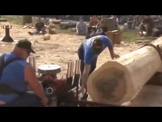 Соревнования у кого пила круче cjhtdyjdfybz e rjuj gbkf rhext