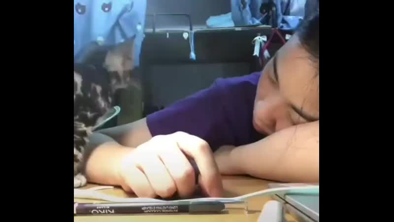 Пожалуй лягу спать с тобой