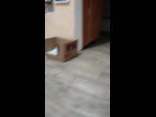 Vid 20200101 003319 mp4