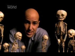 Discovery мутанты часть 1