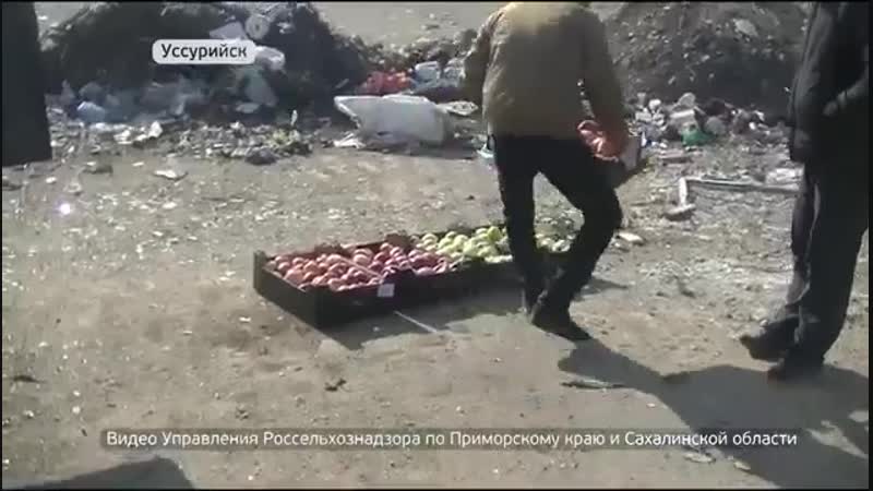 Во владивостоке ликвидировали натовские яблоки!! вот вам и ответка на размещение ракет в п