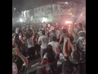 Massive crowds flood saopaulo streets as palmeiras reach libertadores final thousands of dancing and chanting fans defying