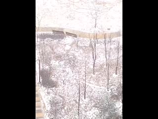 201212 wendy on bubble!💬🐹