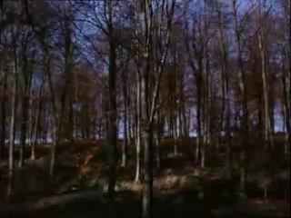 Emily richardson aspect (2004)