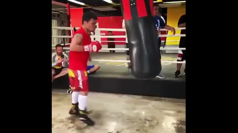 Тренироа мэнни пакьяо