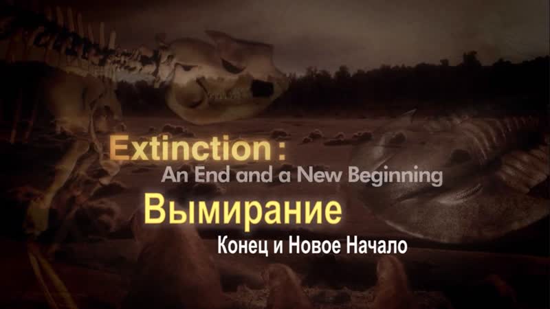 История жизни / history of life, 2012 (серия 05) вымирание конец и новое начало / extinction an end and a new beginning