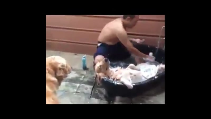 Придумайте название к видео сами