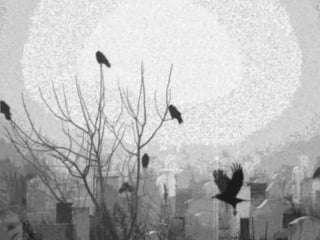 Neuntage romany rye (1989)