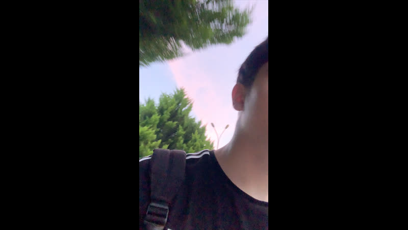 Live pharaoh//фараон