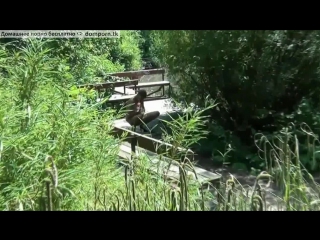 Русское домашнее порно видео жены втроем