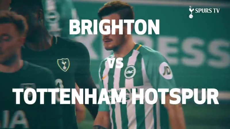 «брайтон» «тоттенхэм» | превью