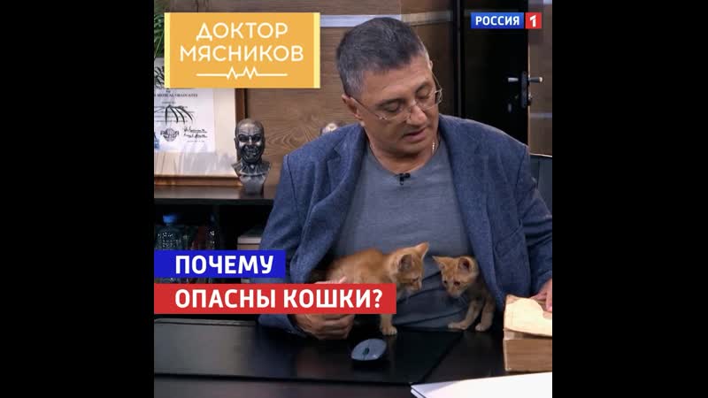 Чем опасны кошки «доктор мясников» россия 1