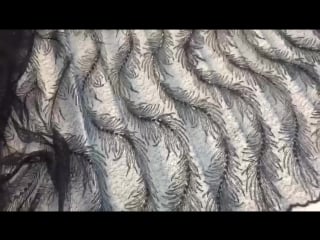 Capriccio della sposa гипюр