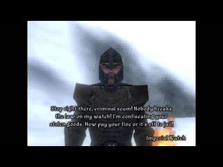 Демейк the elder scrolls iv oblivion