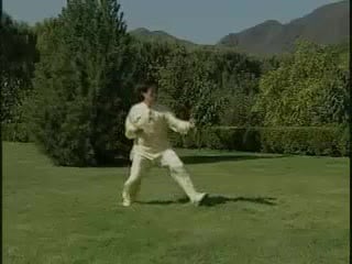 Chen taijiquan xinjia er lu (pao chui)