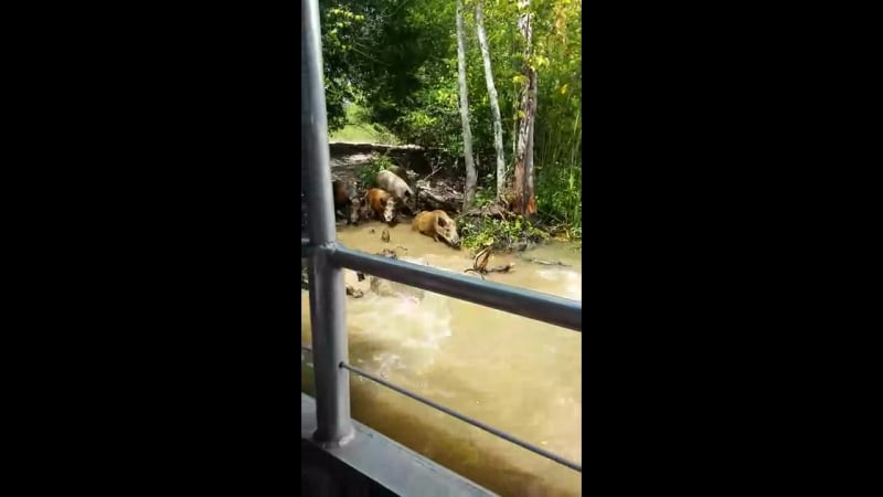 Дебальцево страшные кадры из ато вот так подлые американцы подставили героев!