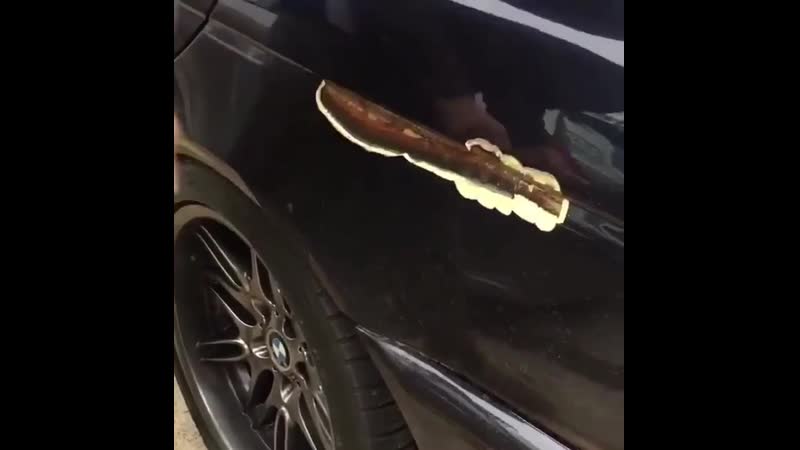 Не бита, не крашена ездила жена в церковь и обратно