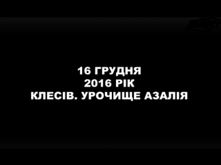 Масовий видобуток бурштину на рівненщині