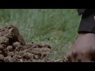 The walking dead 10x08 extended trailer promo season 10 episode 8 promo preview hd s10e08 mid season ( 1080 x 1920 ) mp4