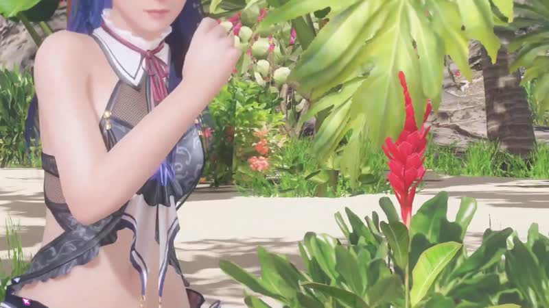 Dead porn video – Dead or alive xtreme venus vacation new girl lobelia 1080p