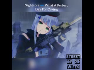 Nightcore time 🎧 street of 2d wifes / what a perfect day for crying (song)