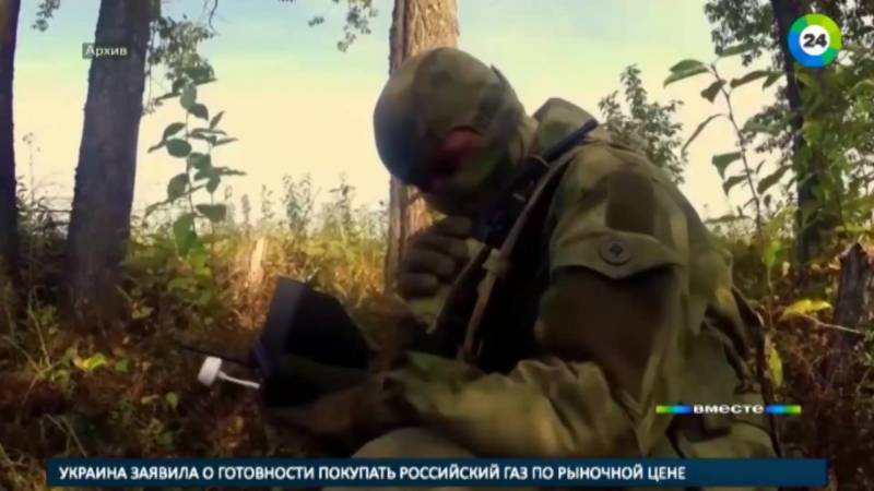 Он защищал пальмиру