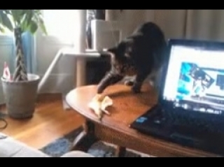 Злобный банан