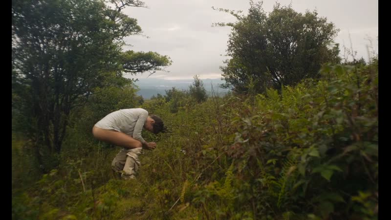 Лайа коста мэн / laia costa maine ( 2018 )