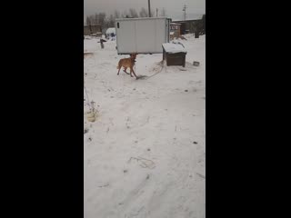 Vid 20201223 143111 mp4