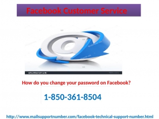 Use the facebook customer service 1 850 361 8504 to enlighten an experience of your fb