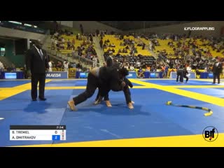 Branden tremel greenfield logan vs anton dmitrakov #ibjjfworld19