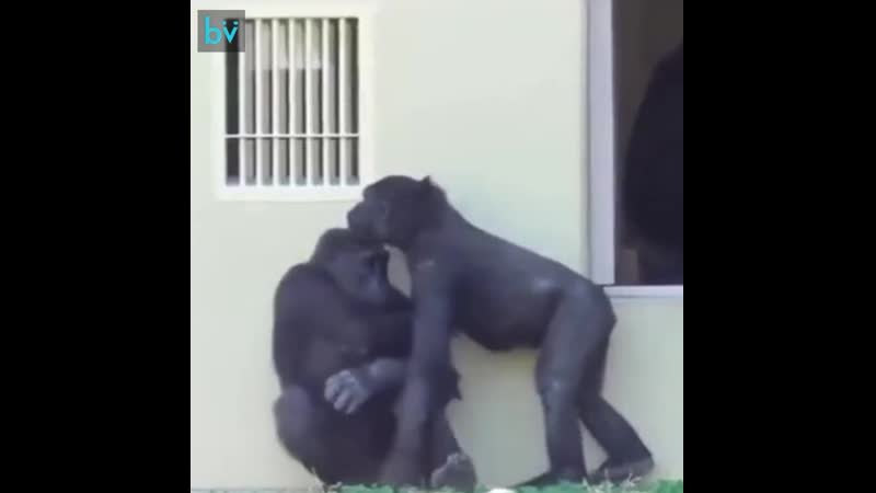 Это могли быть мы с тобой, но ты мне не пишешь