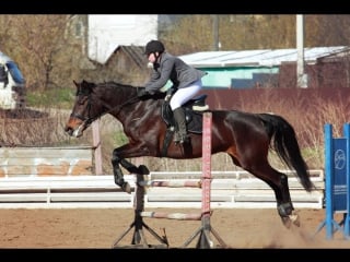 Пилипенко екатерина и багира маршрут №1(до 60см)зачёт"общий"