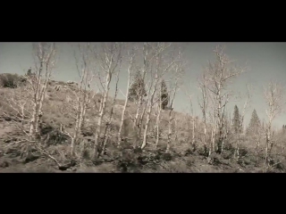 Beat service ana criado so much of me is you