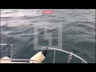 Видео с места крушения ту 154 25 12 2016