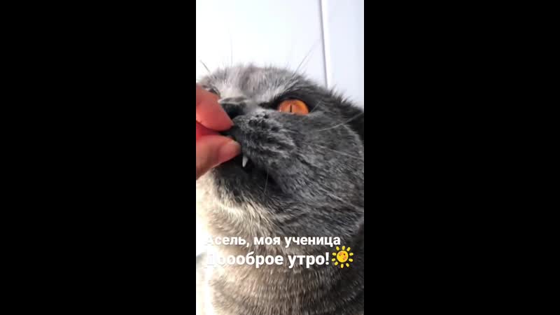 Наша ученица асель