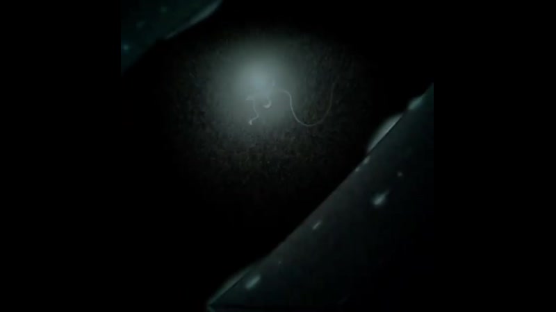 3000 porn video – Scp edit / scp 3000