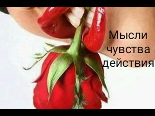 Мысли, чувства, действия