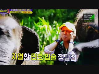 Omggg hahaha the elephants kissing mino was so intense ㅋㅋㅋㅋ so adorbs mino carefreetravelers2 송민호