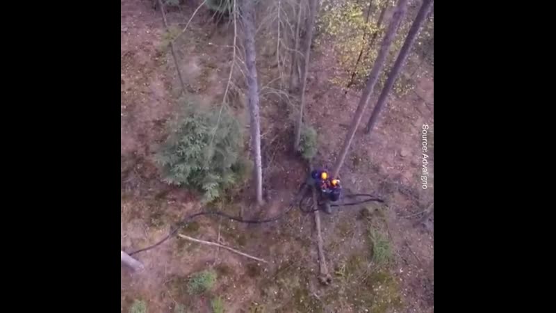 Лоий аппарат kjdrbq fggfhfn kjdrbq fggfhfn kjdrbq fggfhfn