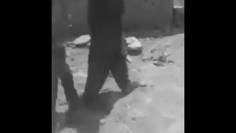 Отец застрелил дочь за посрамление чести семьи, сирия